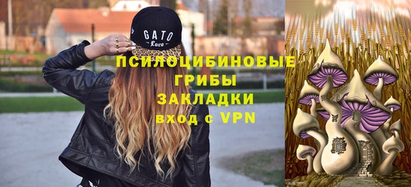 а пвп мука Мегион