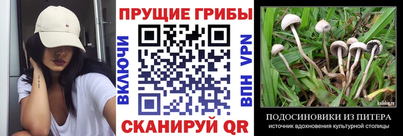 наркотики  Ставрополь  Галлюциногенные грибы ЛСД 