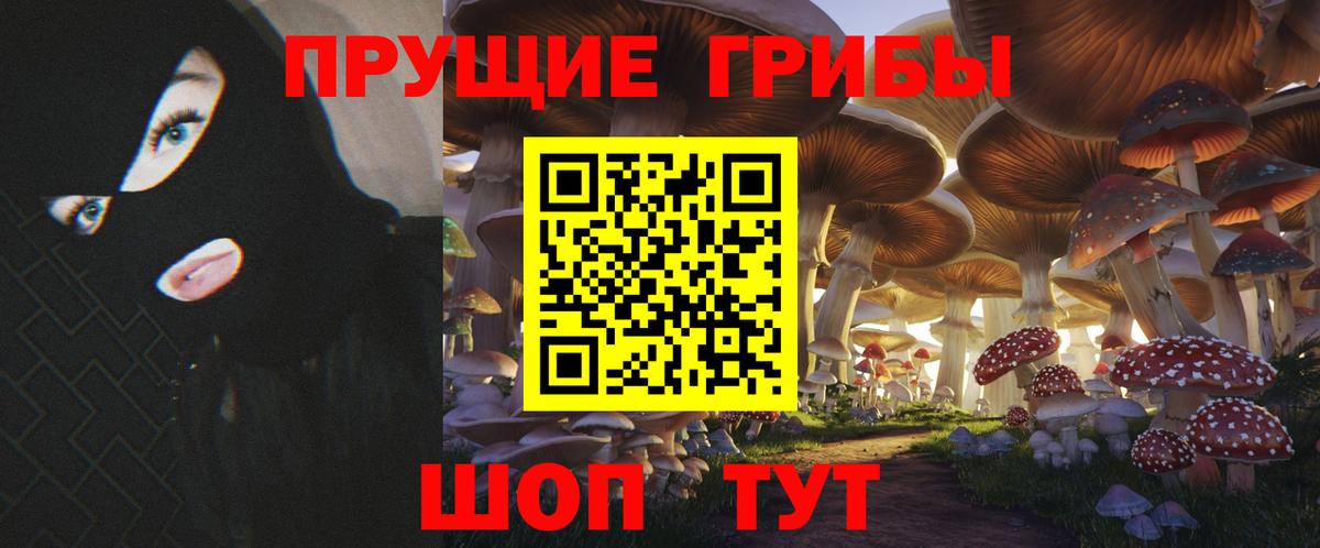 Псилоцибиновые грибы GOLDEN TEACHER Ставрополь
